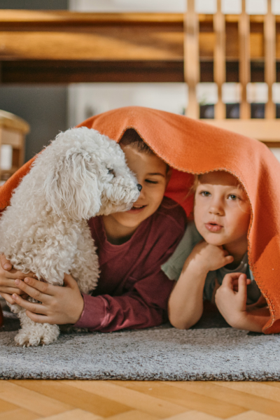 alt="8 Ways to Keep Kids and Pets Safe in Your Home blog post