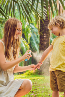 alt="Make Your Home a Bug-free Zone blog post