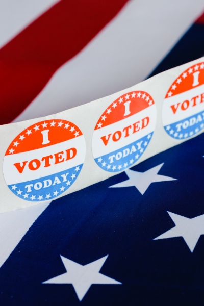 alt="Election Years Bring a Temporary Slowdown blog post