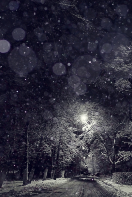alt="Selling Your Home This Holiday? Here’s How to Stand Out! blog post featured image"